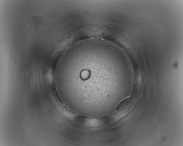 X0000092050287200709191127