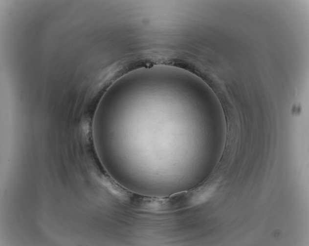 X0000092050288200709191127