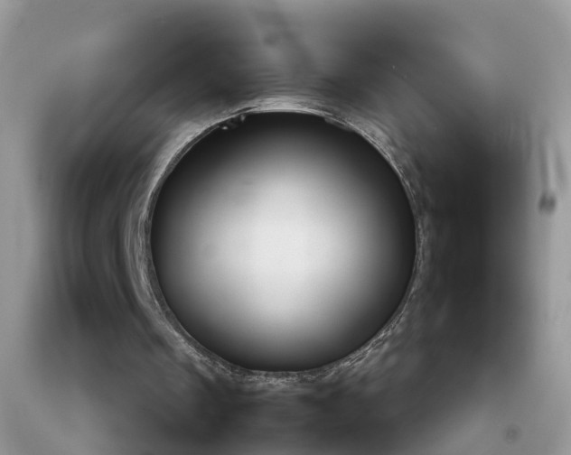 X0000092050289200709191126