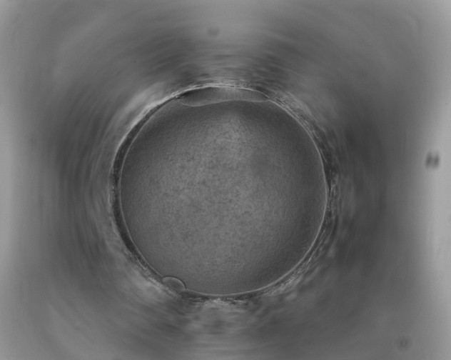 X0000092050290200709191126