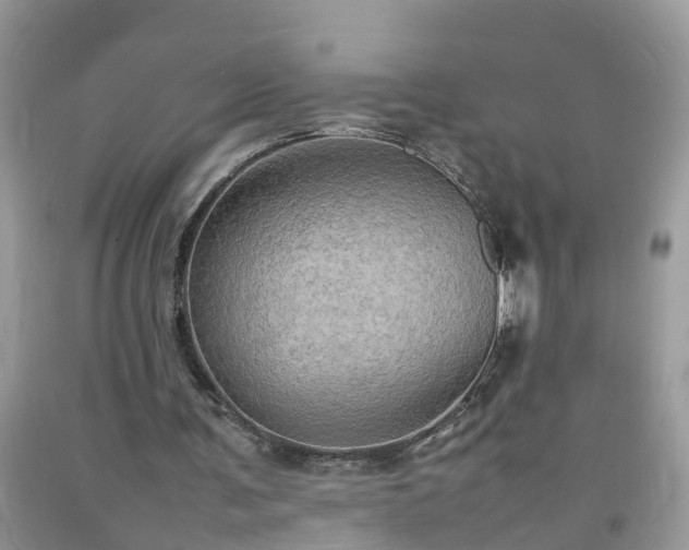 X0000092050291200709191126