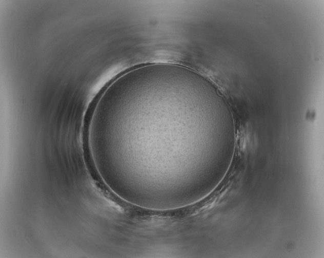 X0000092050292200709191126