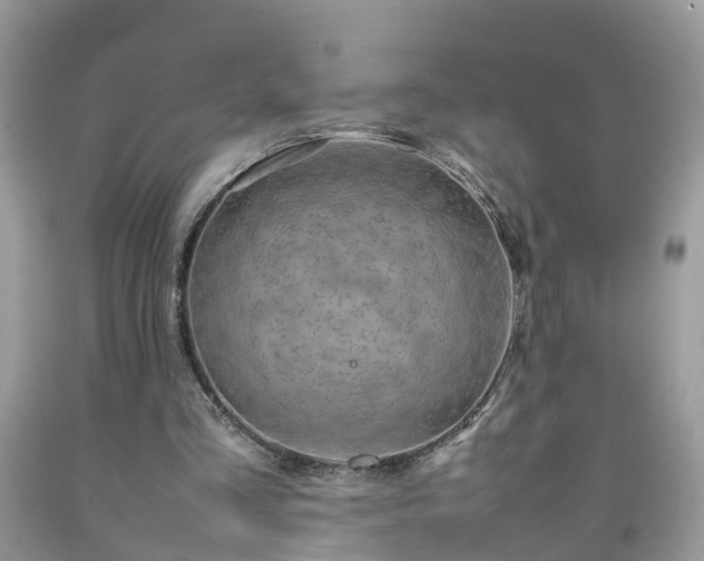 X0000092050293200709191126