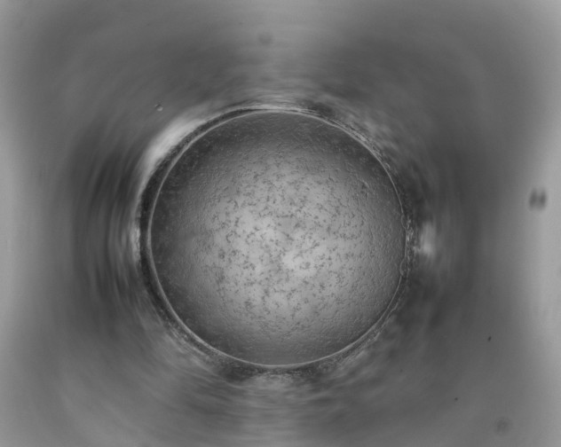 X0000092050294200709191126