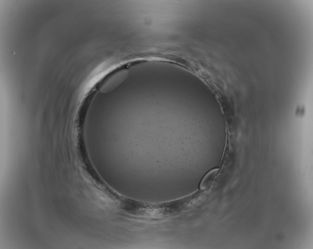 X0000092050295200709191126