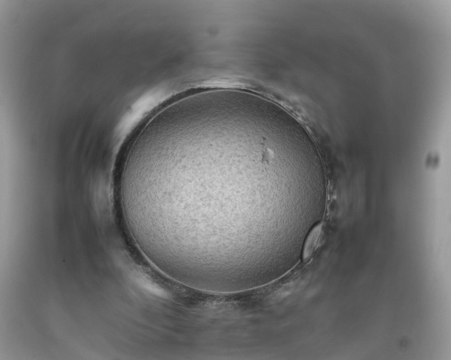 X0000092050296200709191126