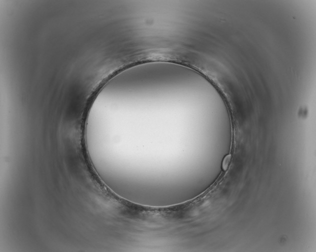 X0000092050297200709191126