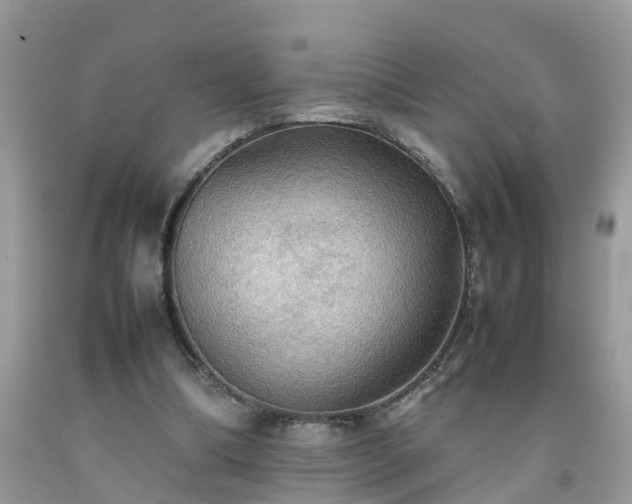 X0000092050298200709191126