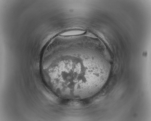 X0000092050299200709191126