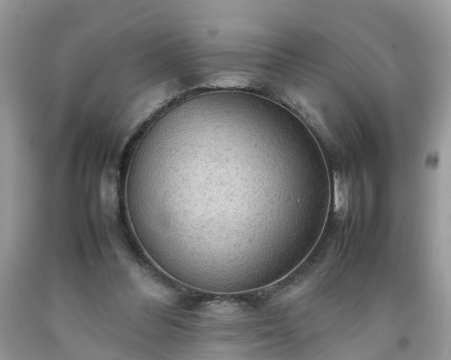 X0000092050300200709191126