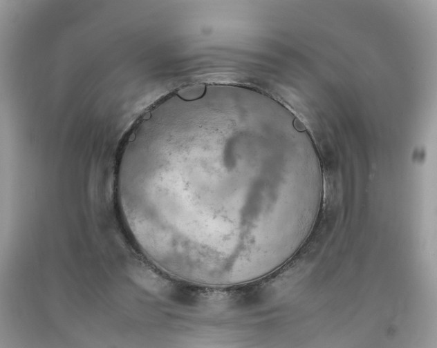 X0000092050301200709191126