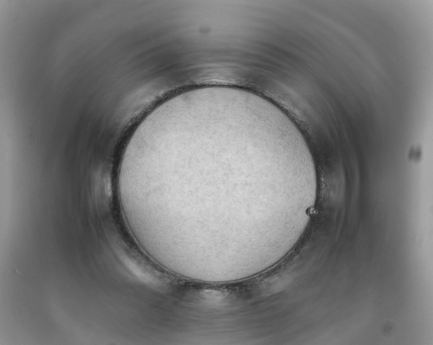 X0000092050302200709191126