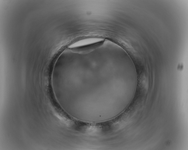 X0000092050303200709191126