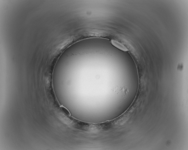 X0000092050305200709191126