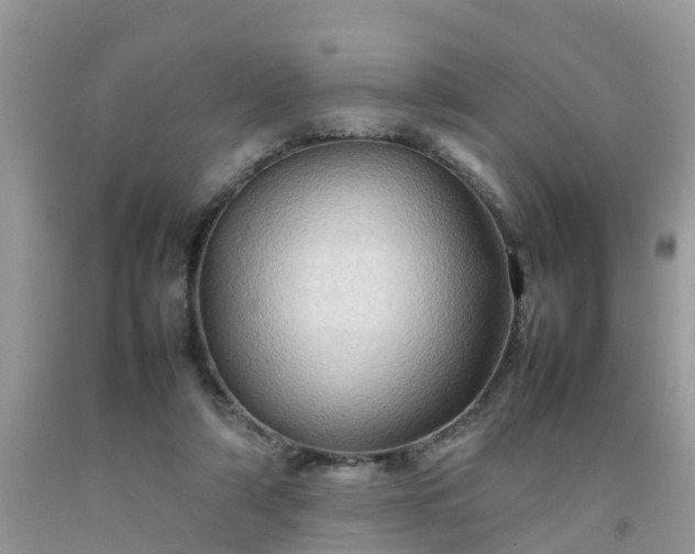 X0000092050306200709191126