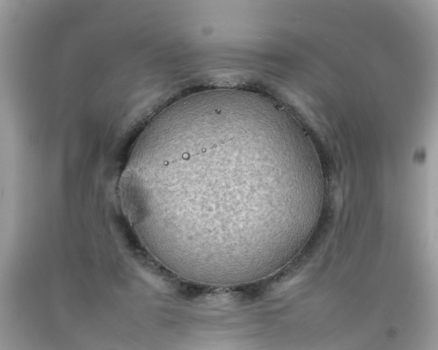 X0000092050307200709191126