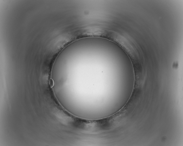 X0000092050309200709191126