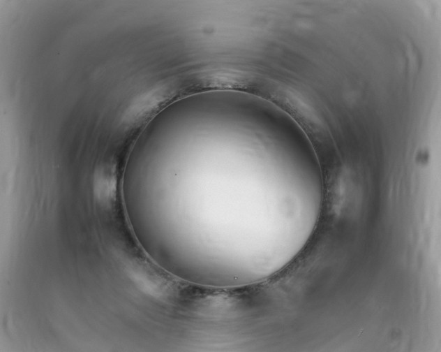 X0000092050310200709191126