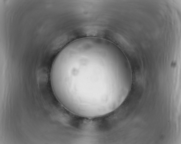 X0000092050311200709191126