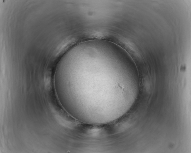 X0000092050312200709191126