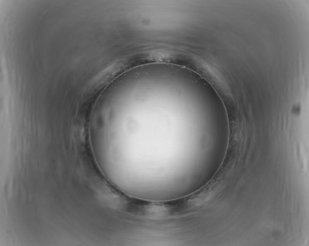 X0000092050313200709191126