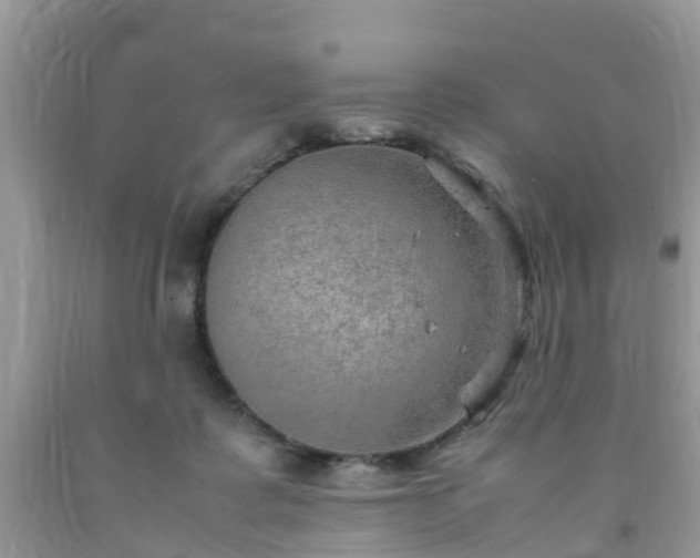 X0000092050315200709191126