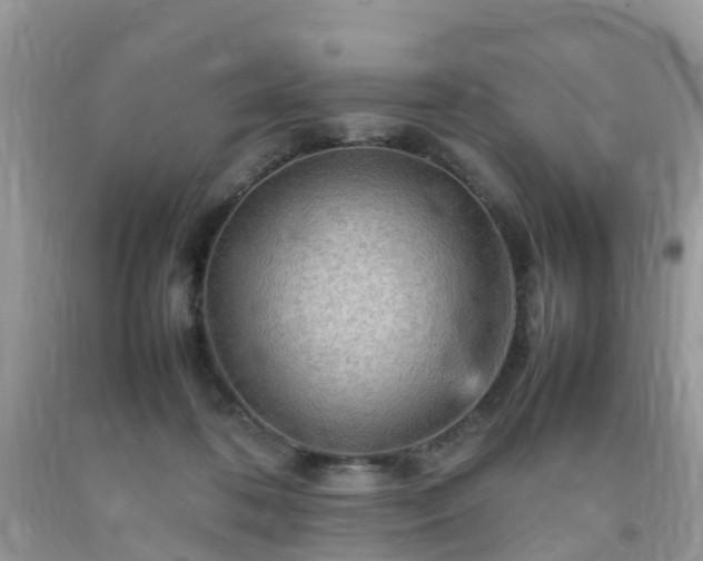 X0000092050316200709191126