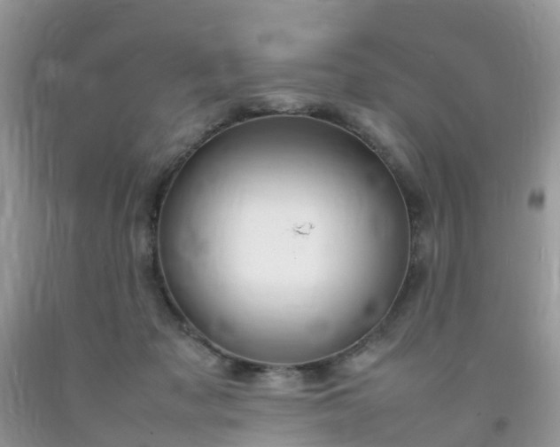 X0000092050317200709191126