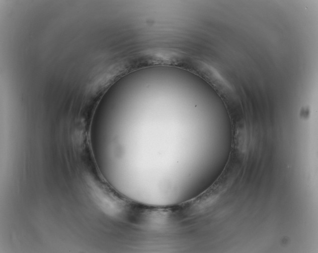 X0000092050318200709191126