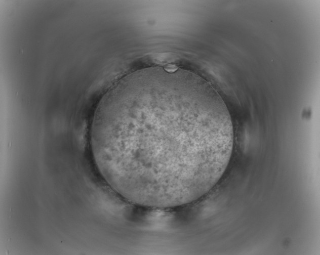 X0000092050319200709191126