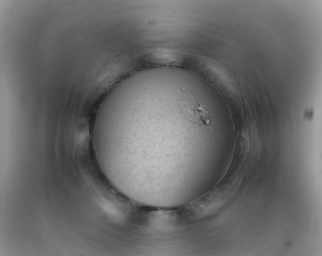 X0000092050320200709191126