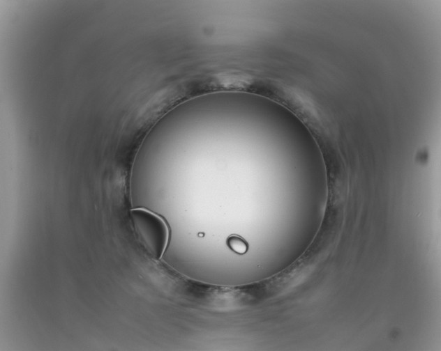 X0000092050321200709191126