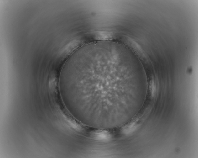 X0000092050322200709191126