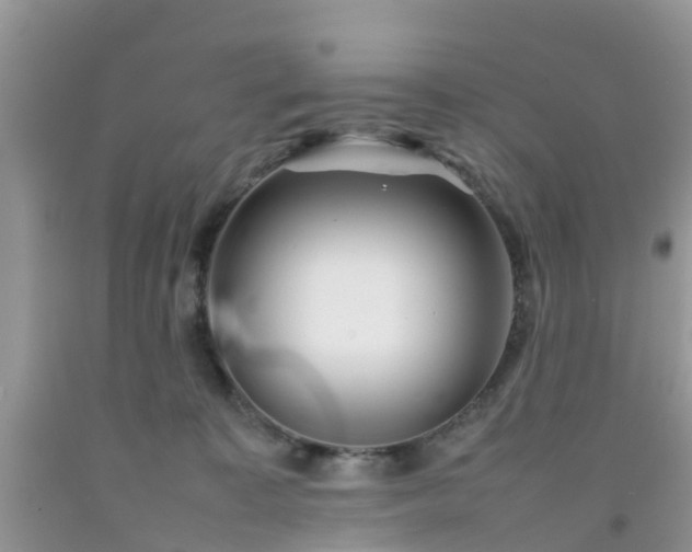 X0000092050323200709191126