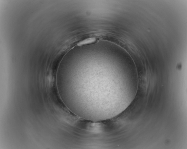 X0000092050324200709191126