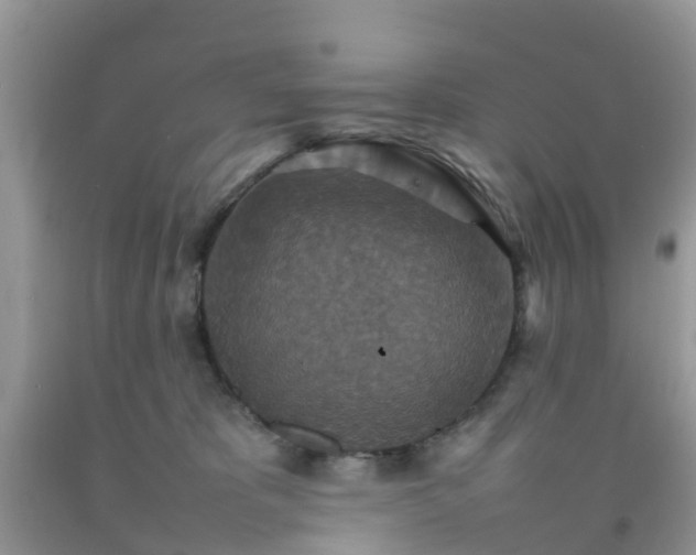 X0000092050325200709191126