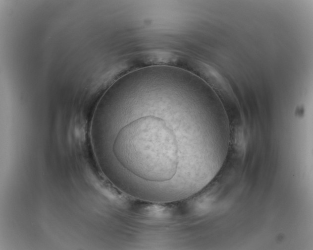 X0000092050326200709191126