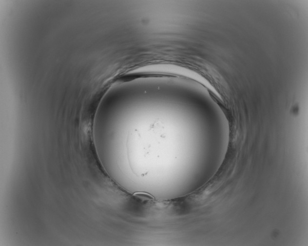 X0000092050329200709191126