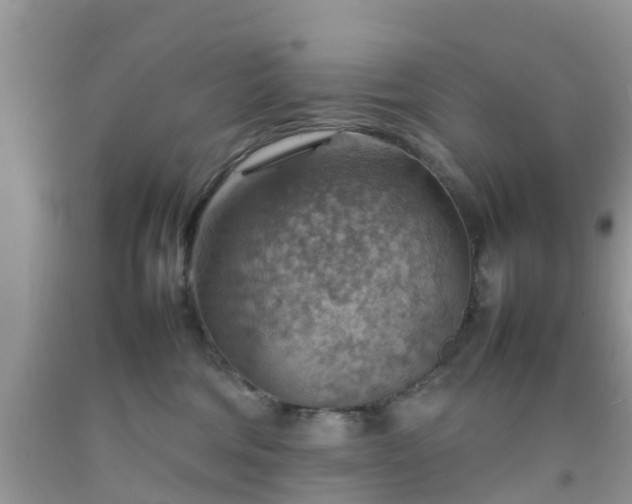 X0000092050330200709191126