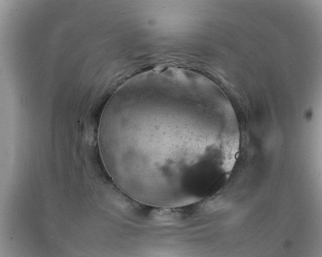 X0000092050331200709191126