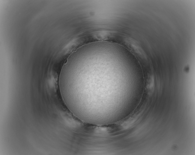 X0000092050332200709191126