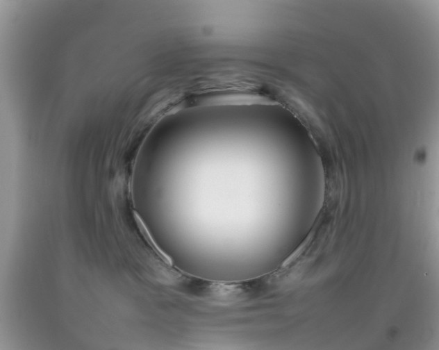 X0000092050333200709191126