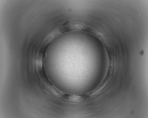 X0000092050334200709191126