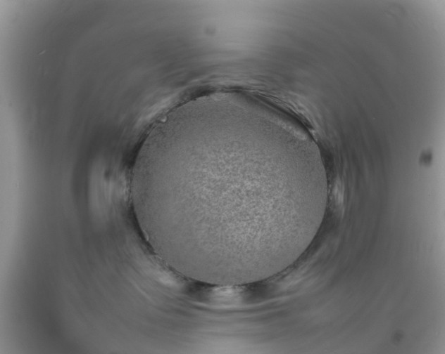 X0000092050335200709191126