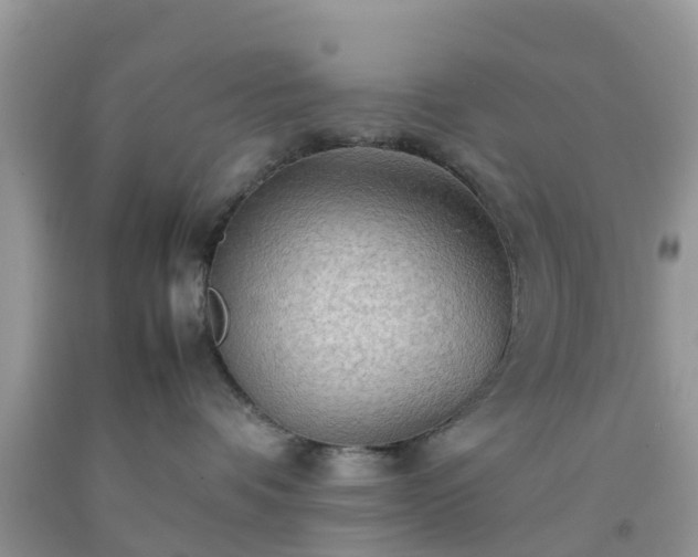 X0000092050336200709191126