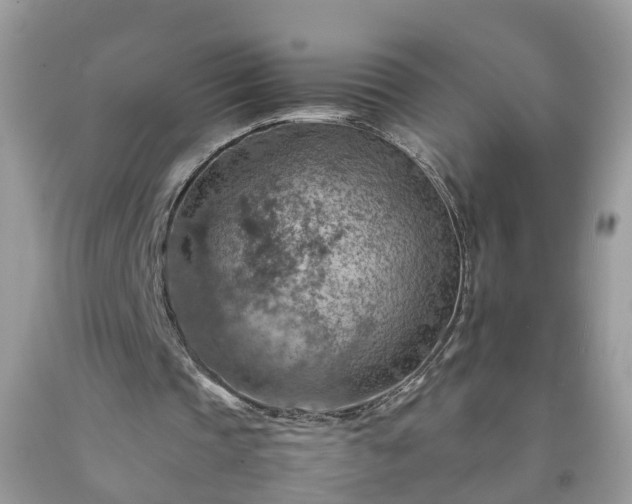 X0000092050337200709191125