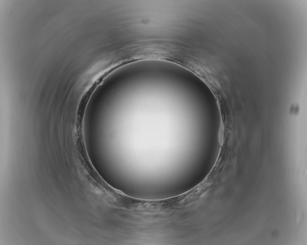 X0000092050338200709191125