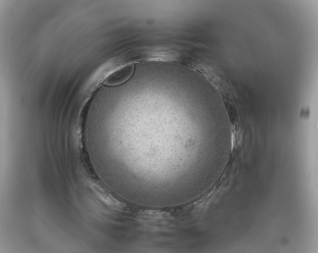 X0000092050339200709191125