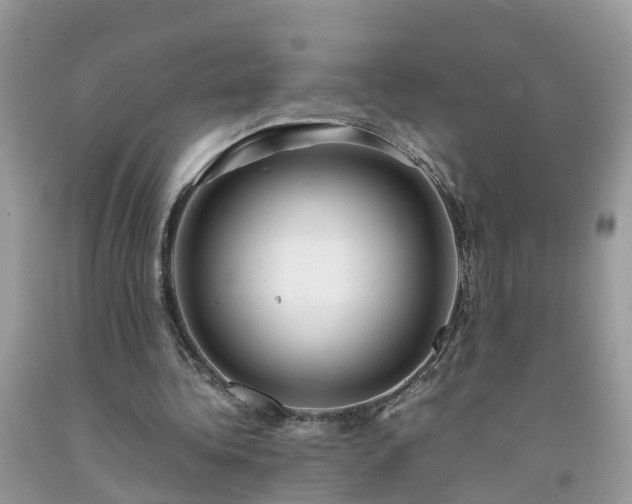 X0000092050340200709191125