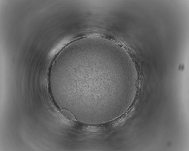 X0000092050341200709191125